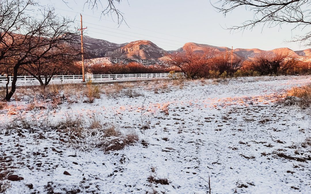 Is Sierra Vista, Arizona a Safe Place to Live?